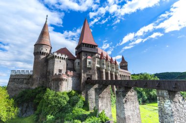 Bahçede bahar zaman çiçek