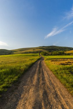 Güneşli bir gün yaz alan görünümünde