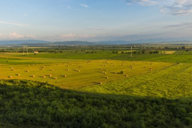 Güneşli bir gün yaz alan görünümünde