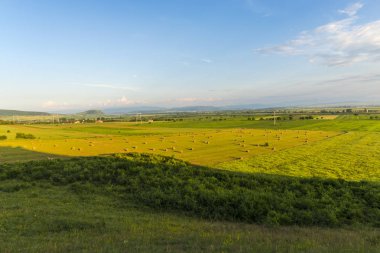 Güneşli bir gün yaz alan görünümünde