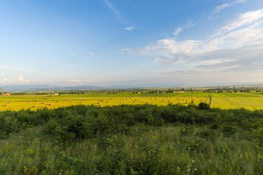 Güneşli bir gün yaz alan görünümünde