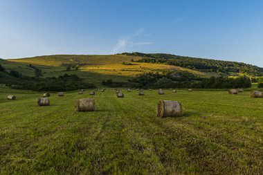 Güneşli bir gün yaz alan görünümünde