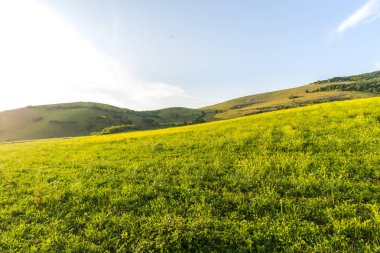 Güneşli bir gün yaz alan görünümünde