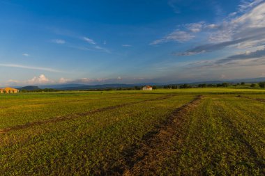 Yaz günü günbatımında akşam bulutlara