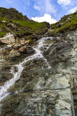 Karpat Dağları'nda vahşi nehir