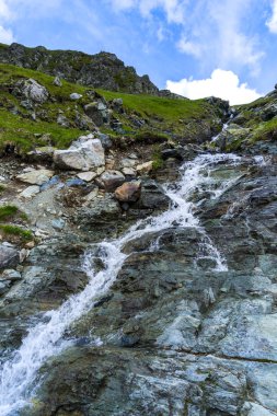 Karpat Dağları'nda vahşi nehir
