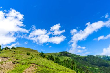 Karpat Mpountains dağ manzarası