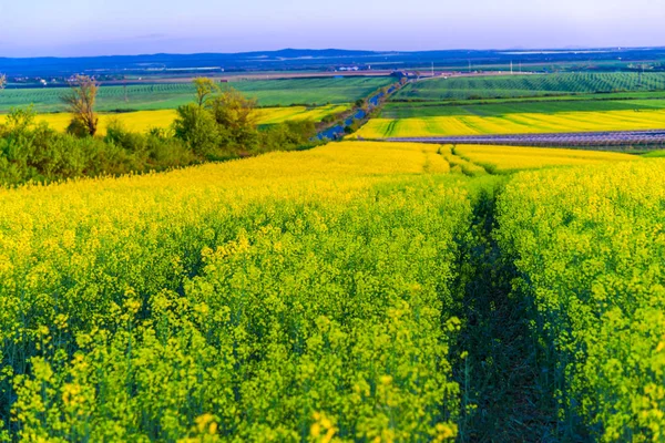 Landscape Springtime — Stock Photo, Image