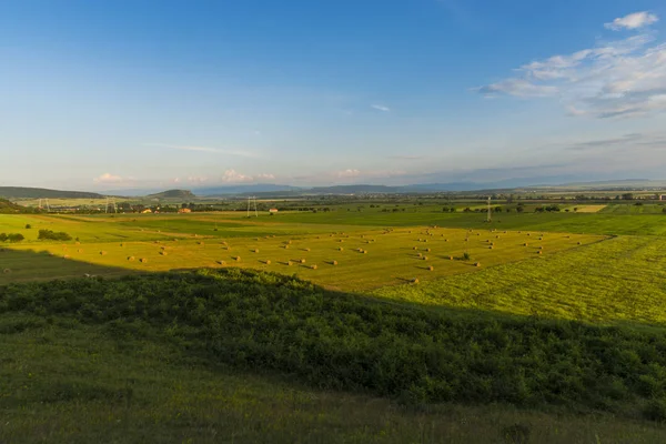 Zomer Gezichtsveld Zonnige Dag — Stockfoto