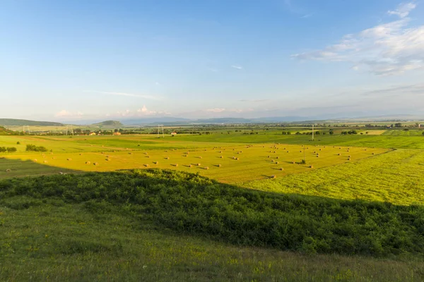 Vue Sur Champ Été Journée Ensoleillée — Photo