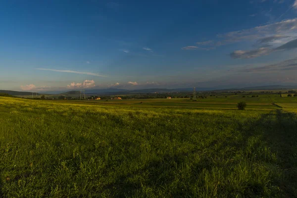 Vista Campo Verão Dia Ensolarado — Fotografia de Stock