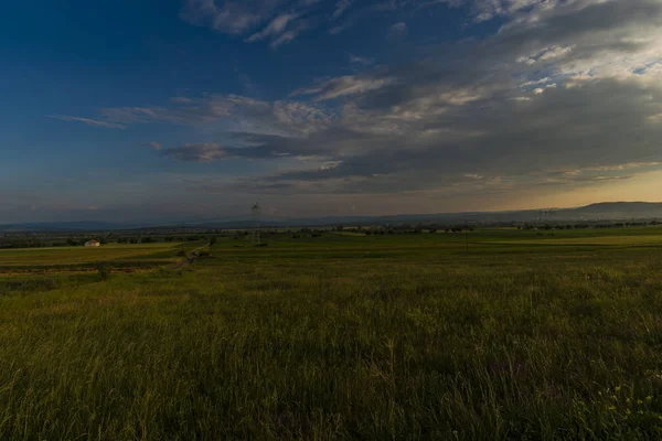 Sommer Feldblick Bei Sonnigem Tag — Stockfoto