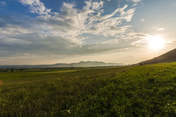 Vue Sur Champ Été Journée Ensoleillée — Photo