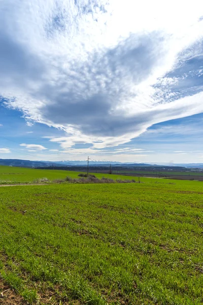 Journée Ensoleillée Avec Ciel Bleu Printemps — Photo