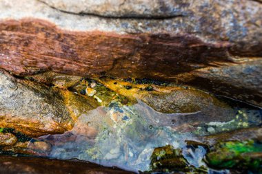 Kırık taş doku, doğal arka plan