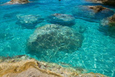 sahne deniz suyu kayalar ve taşlar 