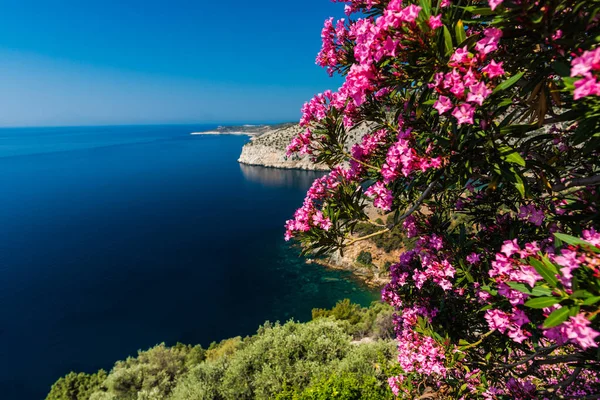 ギリシャの美しい夏の風景 — ストック写真