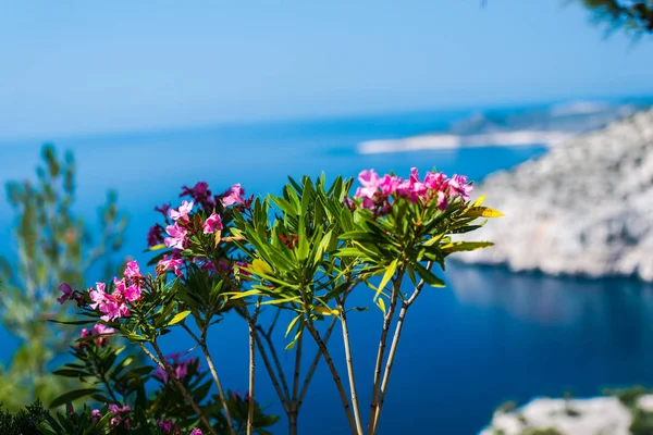 Vacker Sommar Seascape Grekland — Stockfoto