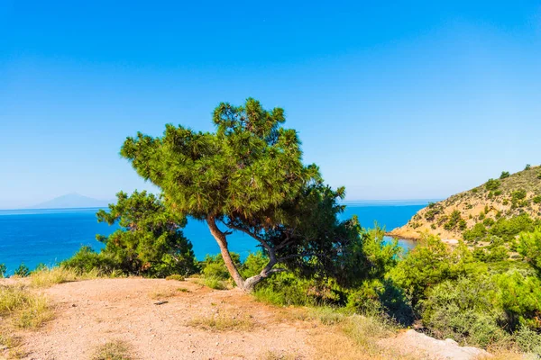 Прекрасний Літній Морський Пейзаж Греції — стокове фото