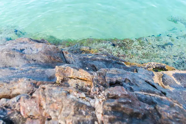 Paesaggio Acqua Mare Con Rocce Pietre — Foto Stock