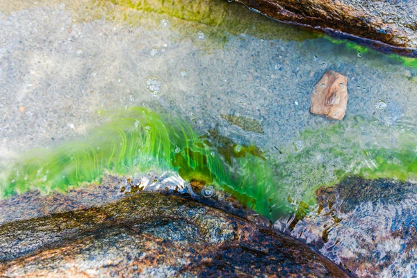 Close view of rocks, water and weeds.