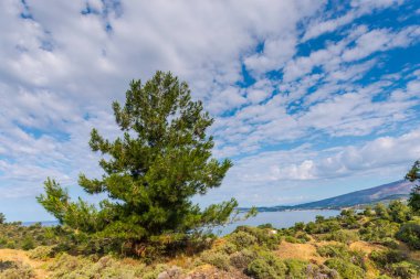 Yunanistan deniz manzarası, doğal arka plan.