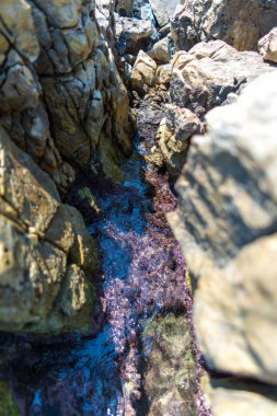 Rocky Kanyon içinde küçük dere