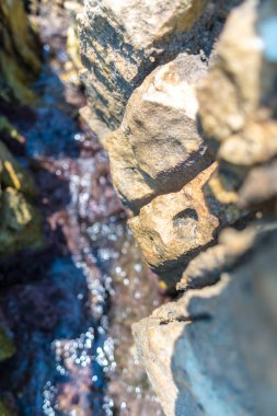 Rocky Kanyon içinde küçük dere