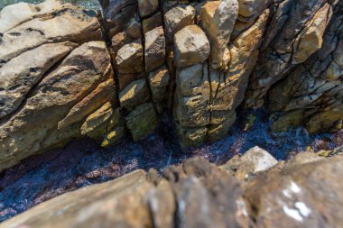 Rocky Kanyon içinde küçük dere