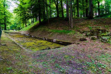 Sarmizegetusa Regia kalıntıları, andezit kutsal, Romanya.