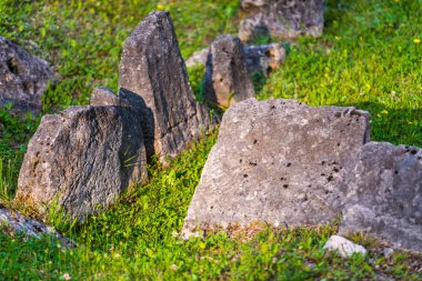 Granit taşlar ile yeşil çayır