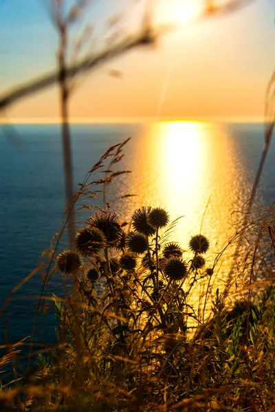 Amazing Sunset Sea — Stock Photo, Image