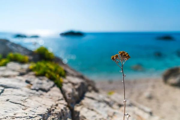 美丽的夏季海景在希腊 — 图库照片