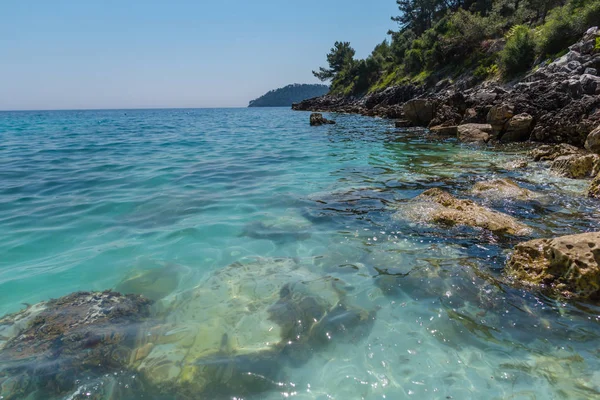 青い海の水とイタリアの木と岩の海岸 — ストック写真
