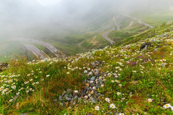 Paisaje Las Montañas Los Cárpatos Brumosos Rumania —  Fotos de Stock