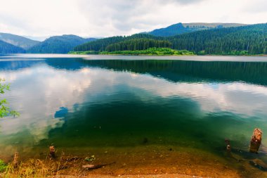 Arka planda yansıma, dağlar ve bulutlu gökyüzü ile gölet.
