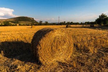 buğday alan saman yığınları ile