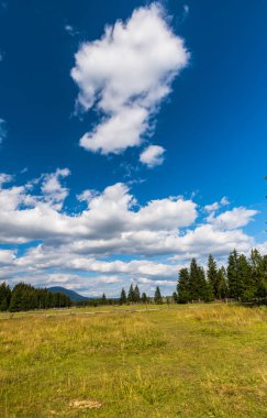 Arka planda beyaz bulutlar ile ağaçlar ve mavi gökyüzü ile yaz alanı
