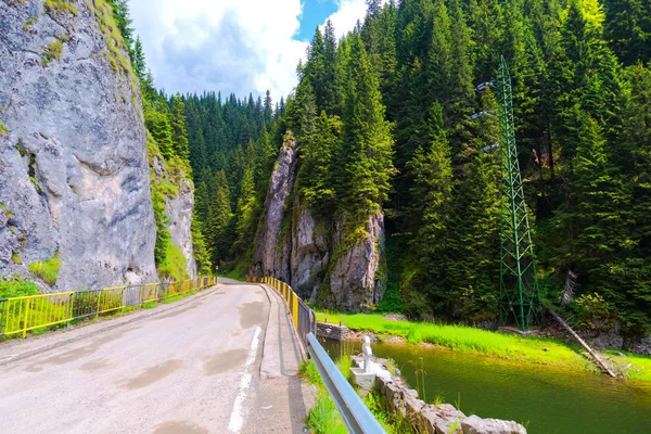 Natürliche Landschaft Hintergrund Mit Fluss Und Grünen Bäumen — Stockfoto