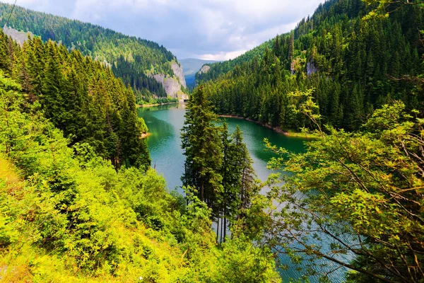 緑の木々 と穏やかなターコイズ ブルーの川高山 — ストック写真