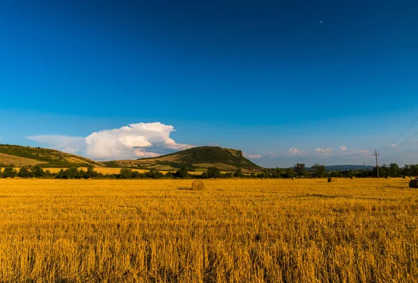 Campo Trigo Com Pilhas Feno — Fotografia de Stock