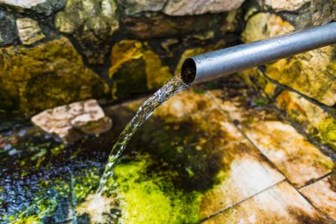 orman içinde taze su akışı