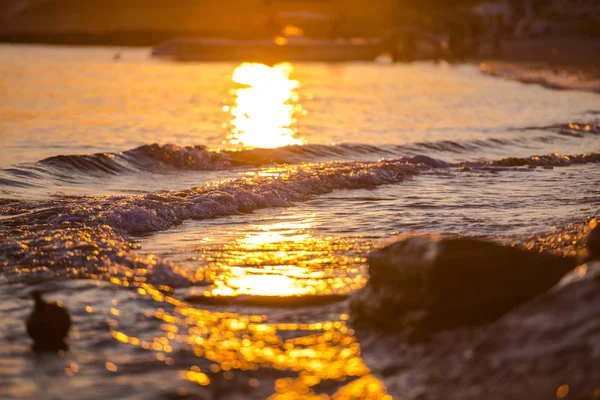 Seelandschaft Mit Booten Land — Stockfoto