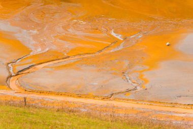 zehirli kirli kimyasal göl suyu 