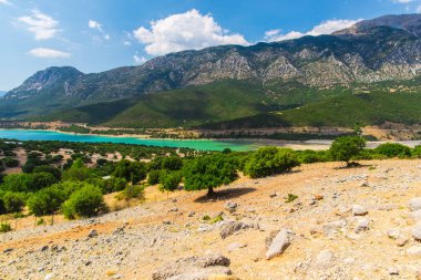 Dağlar, zeytin ağaçları ve Akdeniz manzarası, Yunanistan.