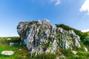 manzara Karpat Dağları, Romanya.