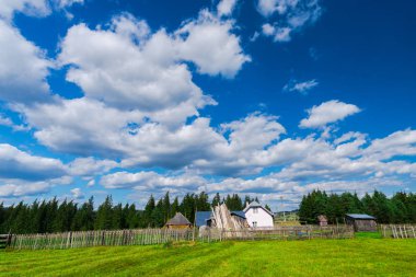 Bahar alan doğal arka plan