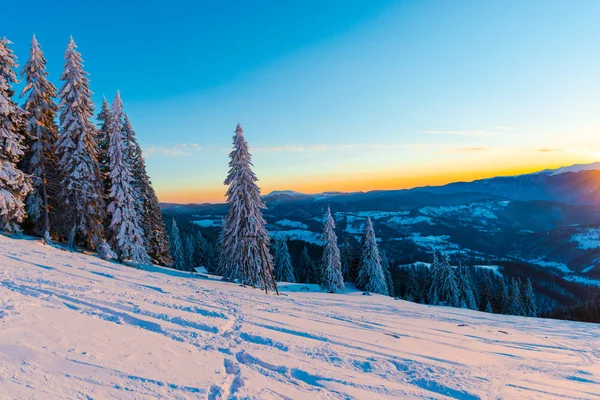 Árboles Cubiertos Nieve Temporada Invierno Cielo Montaña Puesta Sol — Foto de Stock