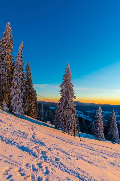 Árboles Cubiertos Nieve Temporada Invierno Cielo Montaña Puesta Sol — Foto de Stock