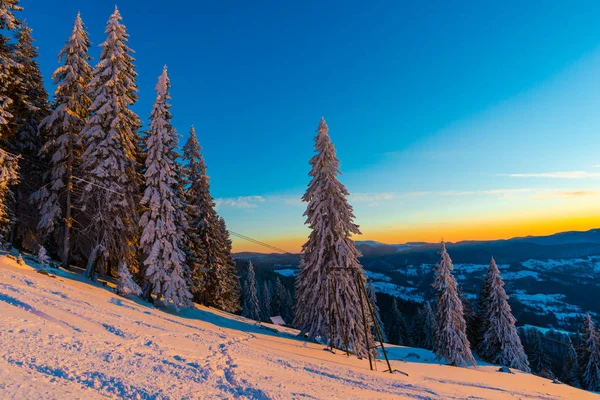 Árvores Cobertas Neve Temporada Inverno Céu Montanha Pôr Sol — Fotografia de Stock